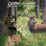 HC-300M Hunting Trail Camera Automatic Monitoring